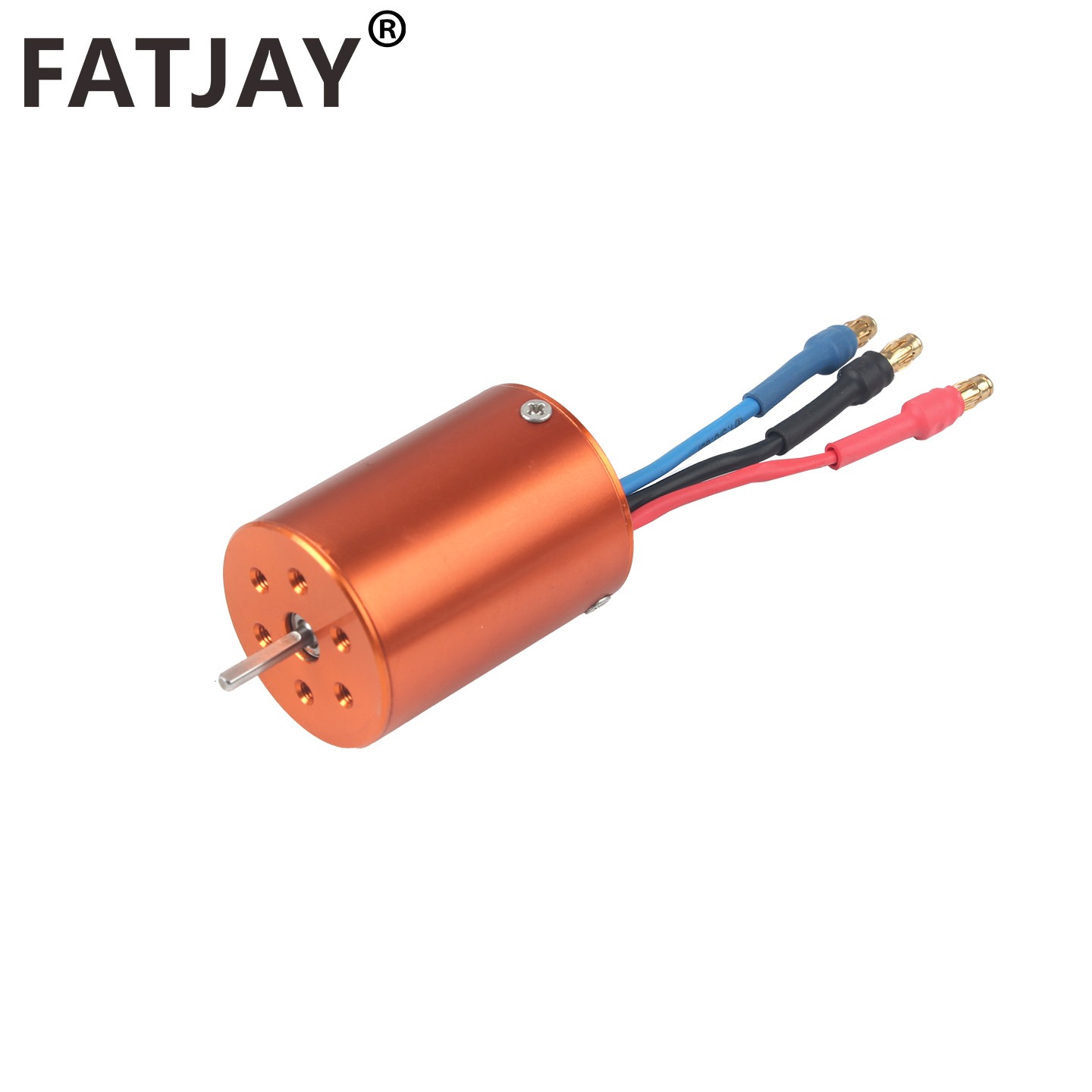 FATJAY 2838-2800KV 3800KV RC 취 - Rc Hobby Grade Car 리뷰 및 가격